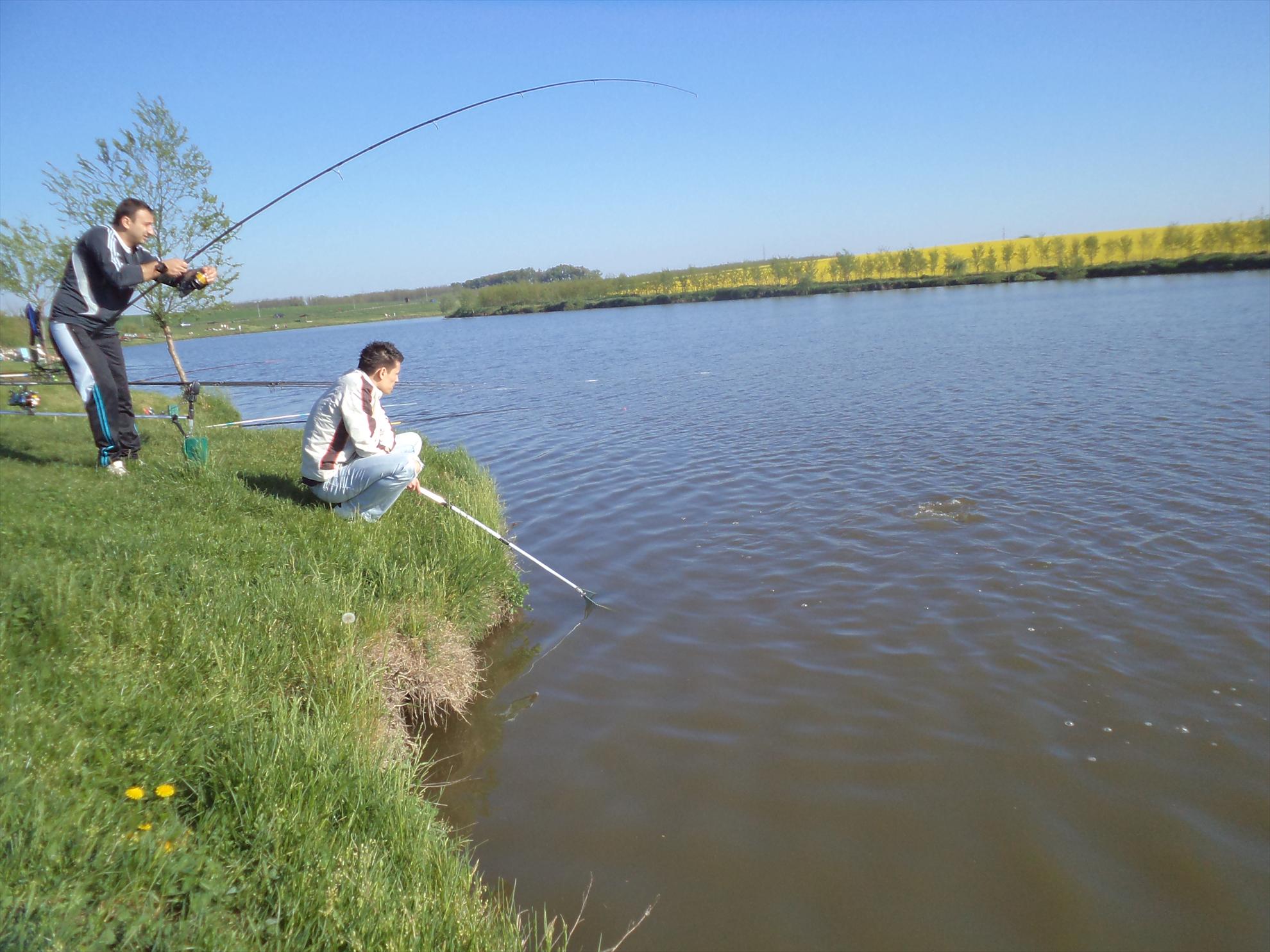 Solacolu - 01.05.2013